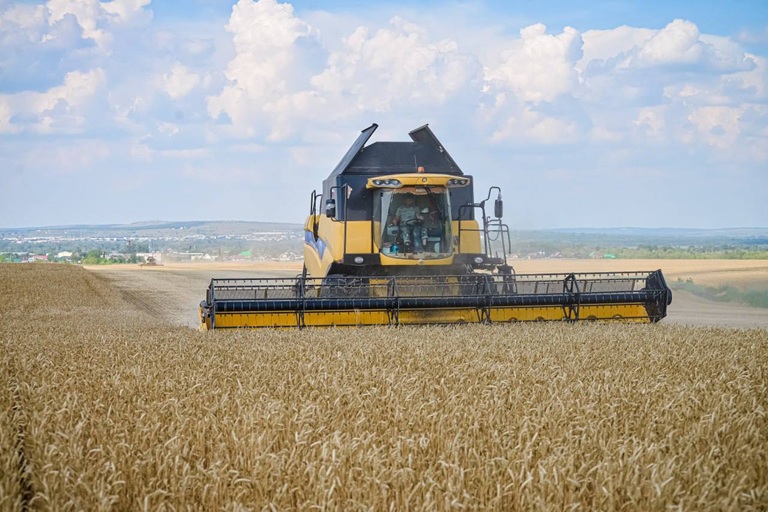 En Oremburgo, multiplican por nueve sus exportaciones de cereales
