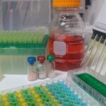 Científicos de Rusia, desarrollan una nueva generación de fármacos antigripales