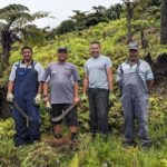 Apoyan el programa para el singular bosque nuboso de Santa Elena