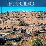 Derecho penal global facilitaría sancionar el ecocidio, externa Guadalupe Valdés: INACIPE