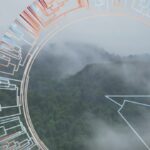 La historia evolutiva moldea las estrategias de almacenamiento de carbono de las plantas en todo el mundo: China