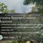 Implementaran medidas de control de especies invasoras en Saba