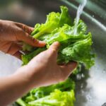 La Ciclosporiasis, una infección parasitaria que requiere atención y prevención: UAG