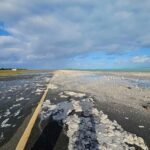 Isla Wake, se recupera de inundaciones causadas por altas olas