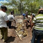 Realizan ceremonia ancestral para pedir abundancia en las cosechas en Quintana Roo