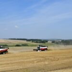 La «batalla» por la cosecha de trigo de invierno está en pleno apogeo en Baskortostán