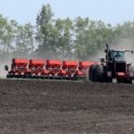 Los agricultores de Novosibirsk comenzaron a sembrar