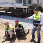 Detienen a un cocodrilo en la empresa MG polímeros de Altamira, por riesgo a trabajadores