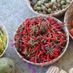 Identifican en la Mixteca Alta de Oaxaca plantas silvestres alimenticias: UNAM